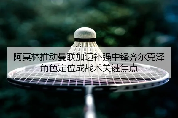 阿莫林推动曼联加速补强中锋齐尔克泽角色定位成战术关键焦点