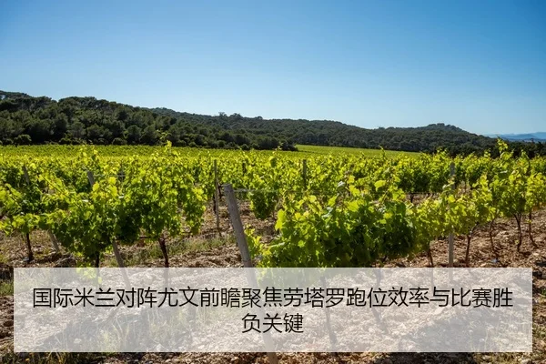 国际米兰对阵尤文前瞻聚焦劳塔罗跑位效率与比赛胜负关键