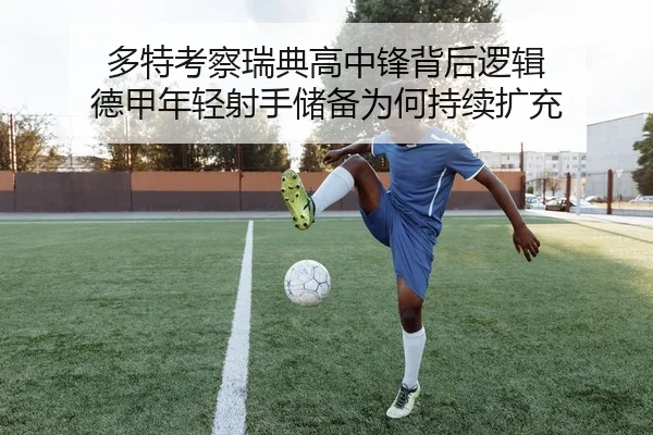 多特考察瑞典高中锋背后逻辑 德甲年轻射手储备为何持续扩充
